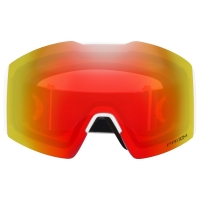 Fall Line™ L Snow Goggles