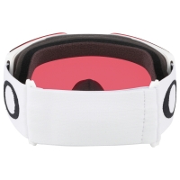Fall Line™ L Snow Goggles